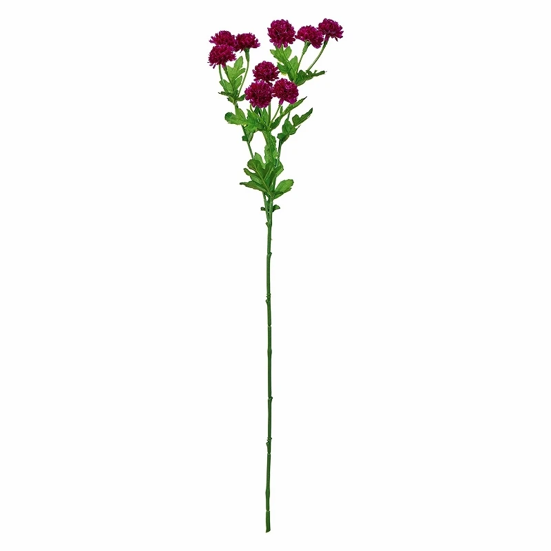 FM-4120-017 迷你球菊 深紫