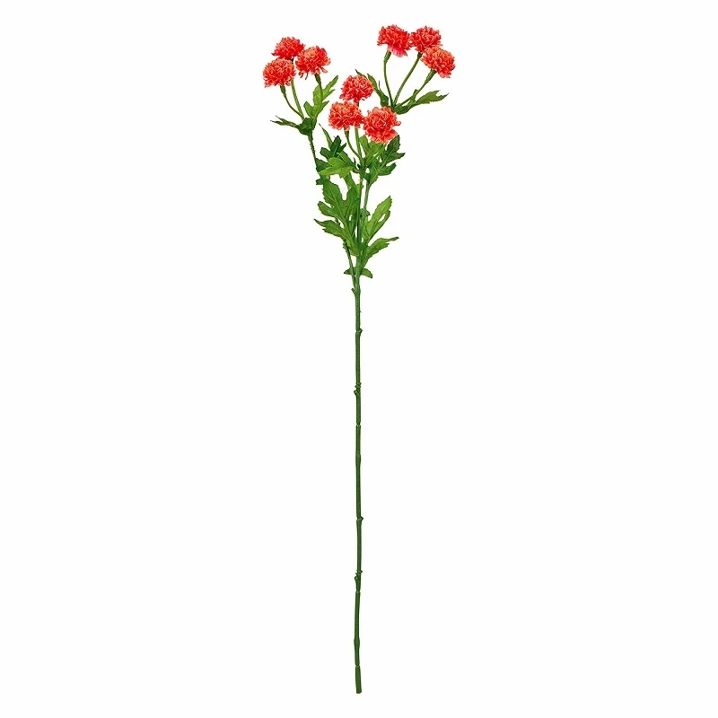 FM-4120-006 迷你球菊 深橘
