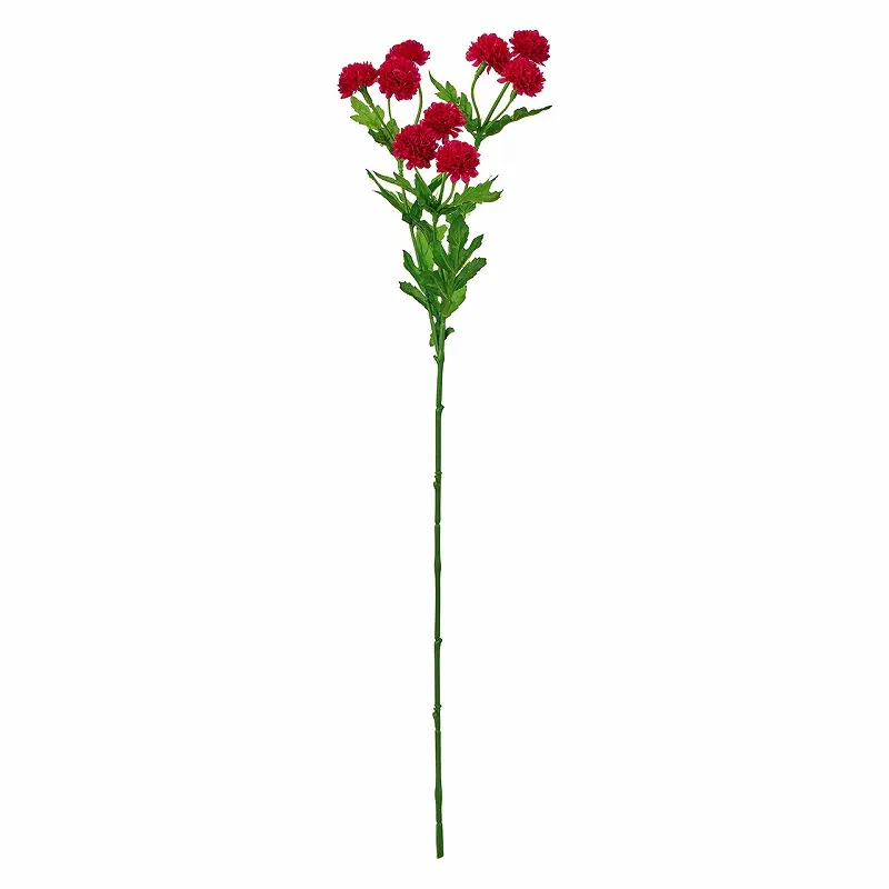 FM-4120-003 迷你球菊 深紅