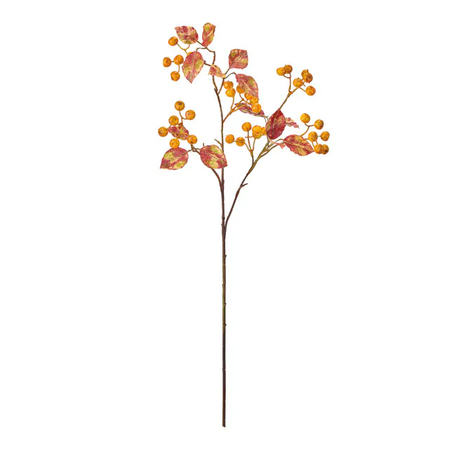 FM-2636-004 帶葉薔薇果 橘黃