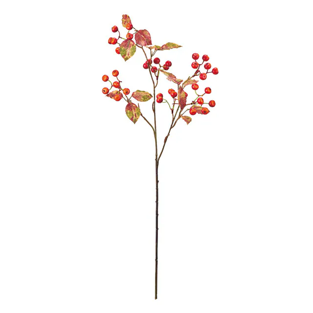 FM-2636-003 帶葉薔薇果 混色紅