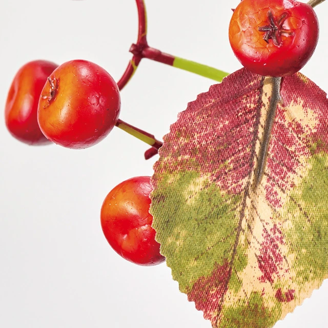 FM-2636-003 帶葉薔薇果 混色紅