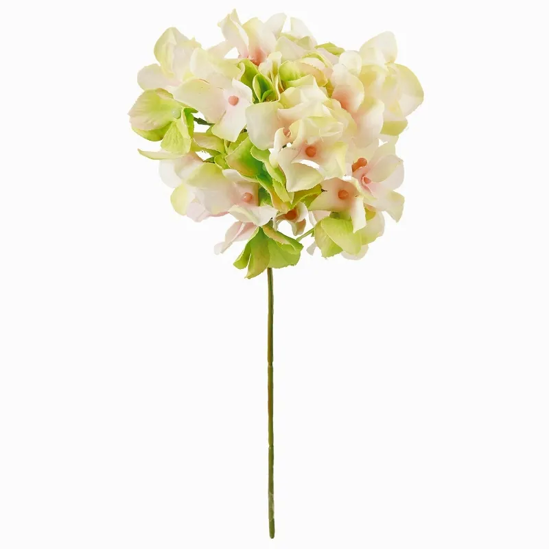 FM-25048-022 經典繡球花 奶油綠