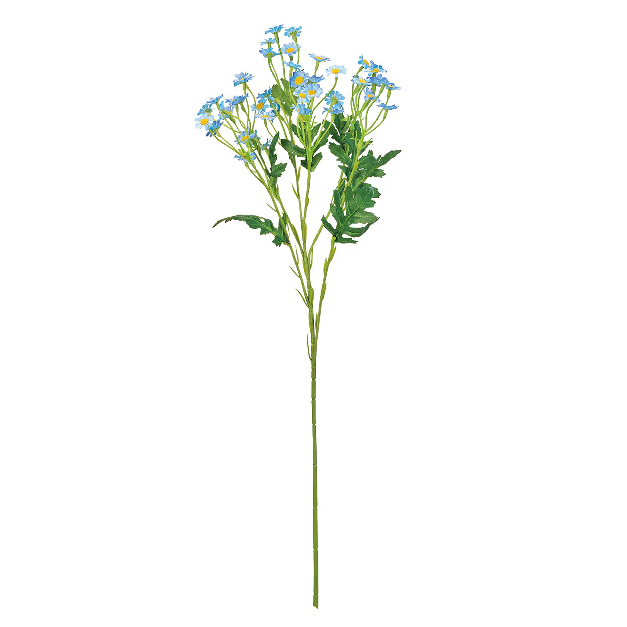 FM-226-005 迷你多頭小雛菊 藍