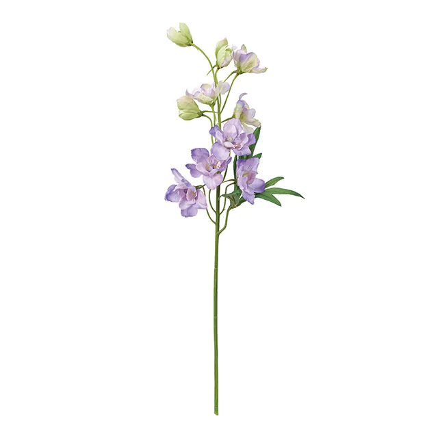 FM-2074-011 大花飛燕草 雙色紫