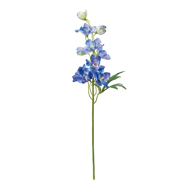FM-2074-010 大花飛燕草 雙色藍