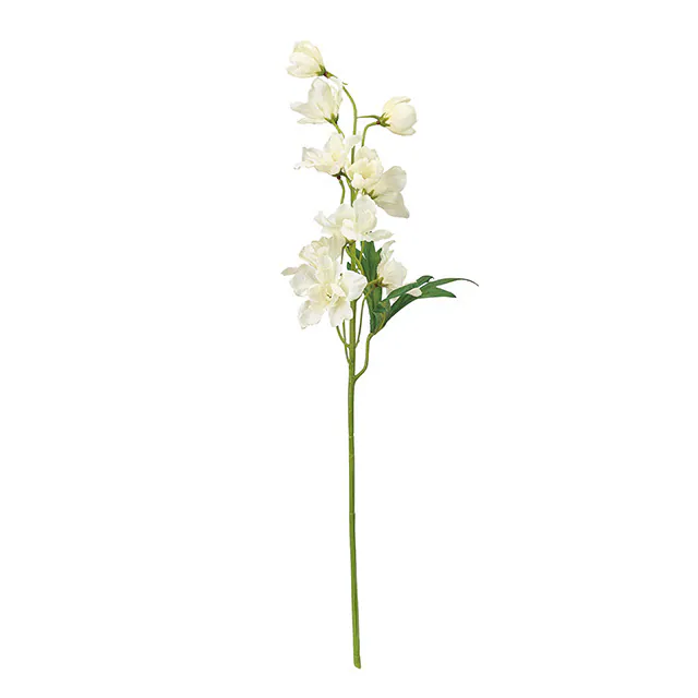 FM-2074-001 大花飛燕草 雙色白