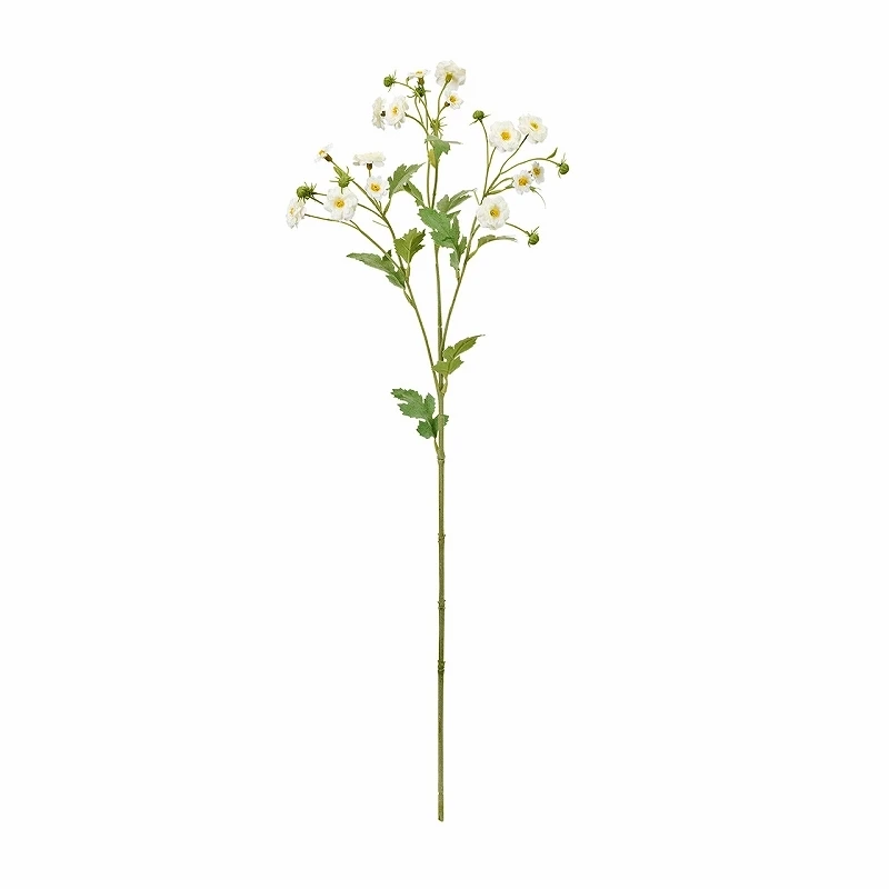 FM-1835-001 洋甘菊 白