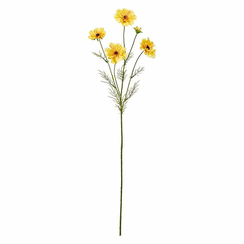 FM-1820-004 黃花波斯菊 黃