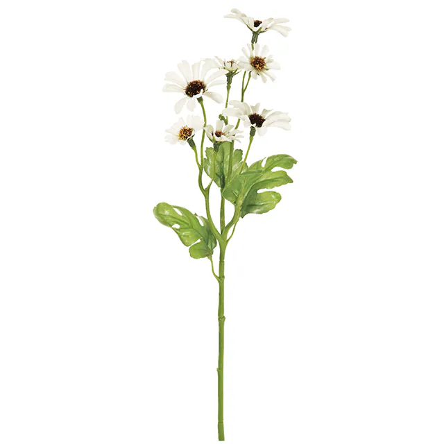 FM-138-001 野花小雛菊 白