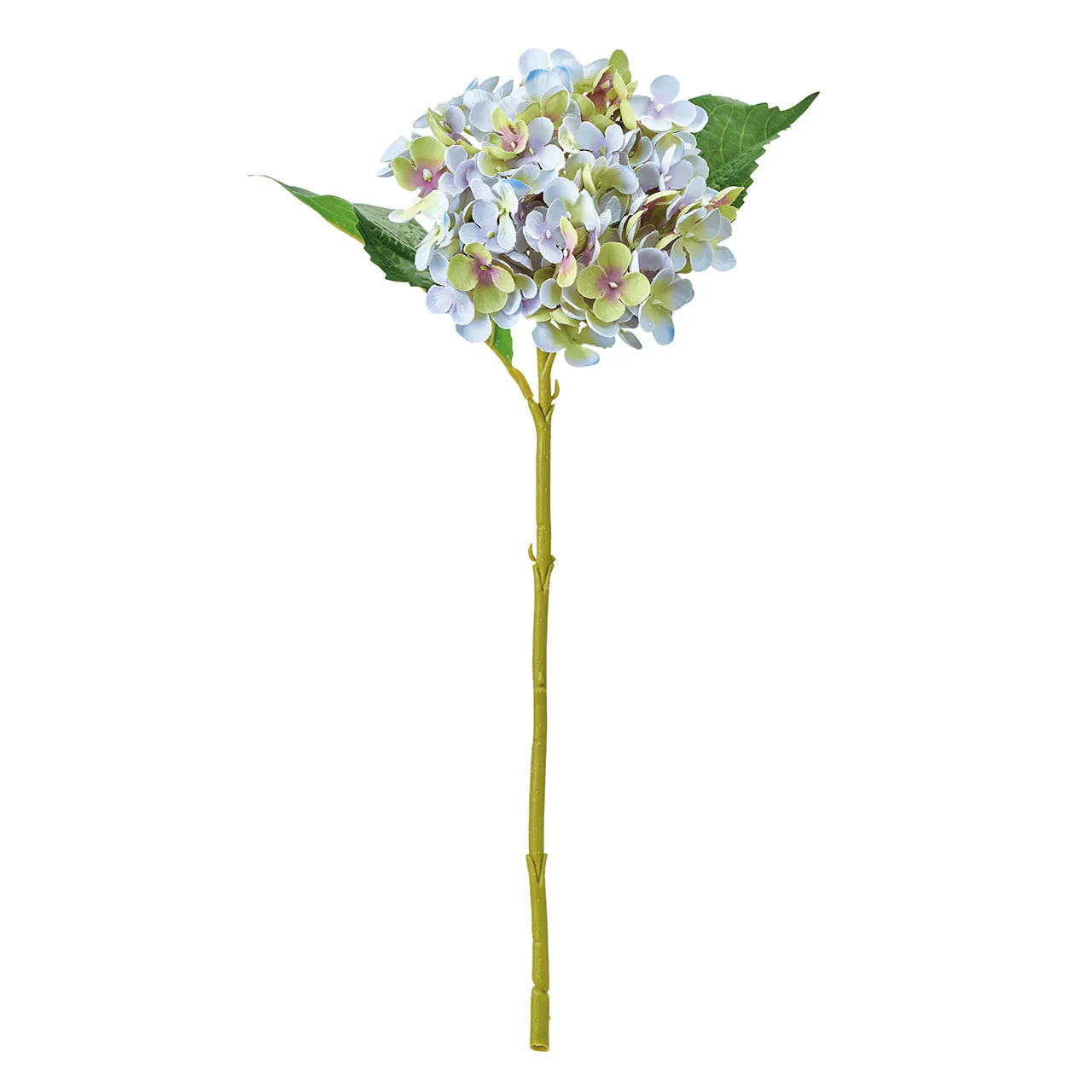 FM-1207-111 漸層四葉繡球花 奧勒岡紫