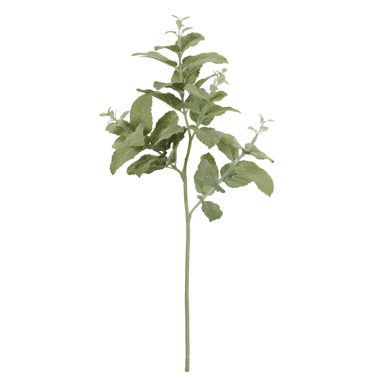 FG-9207 薄荷葉-小 綠