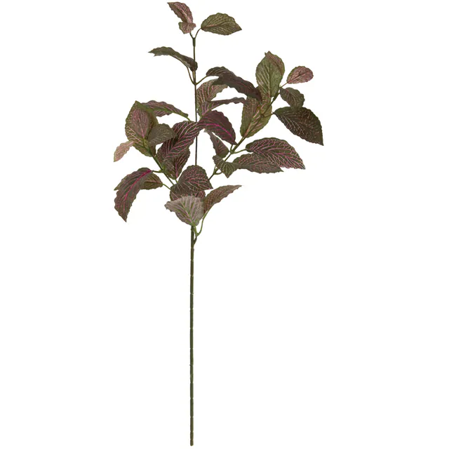 FG-9092 紅網紋草 酒紅/綠