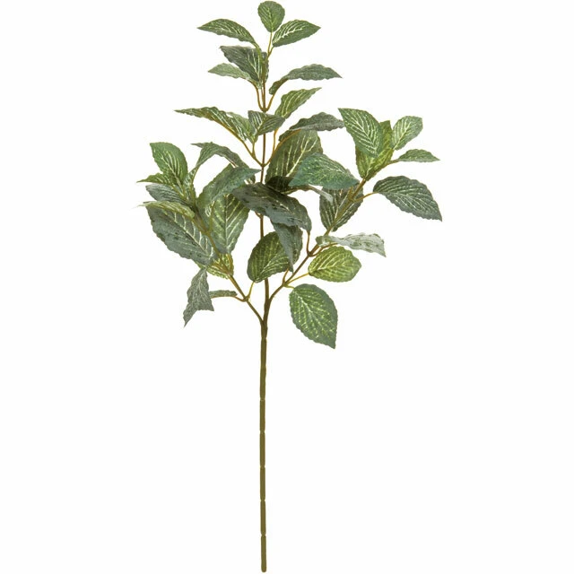 FG-8082 網紋草 綠
