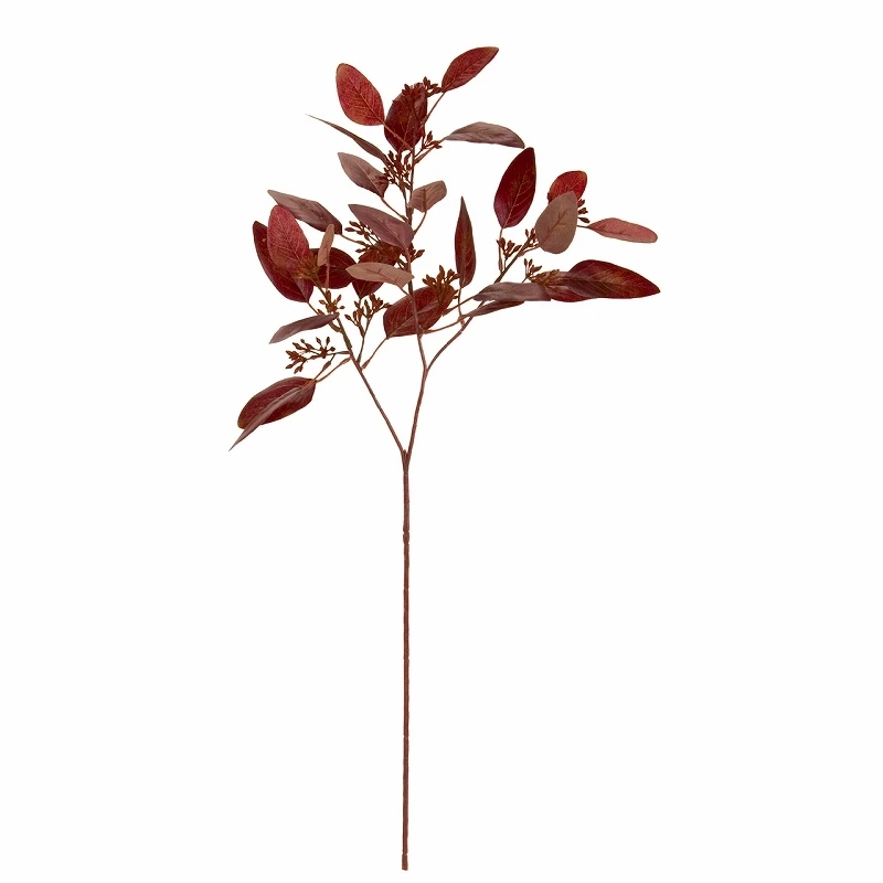 FG-6465 熟成色尤加利葉 巧克紅
