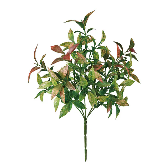 FG-575-026 假葉樹 紅綠
