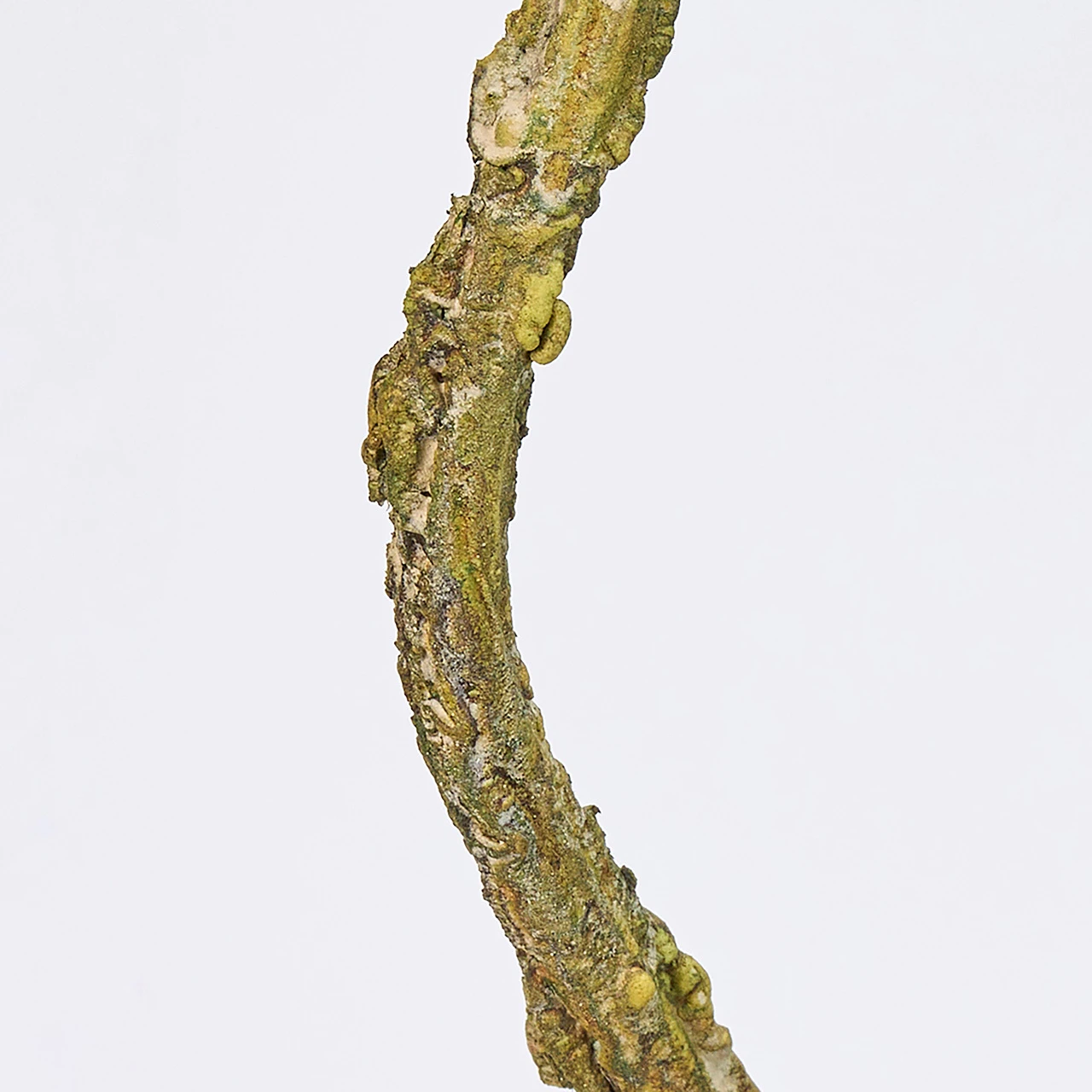 FG-5221-013 樹藤軟鐵絲枝條 綠咖