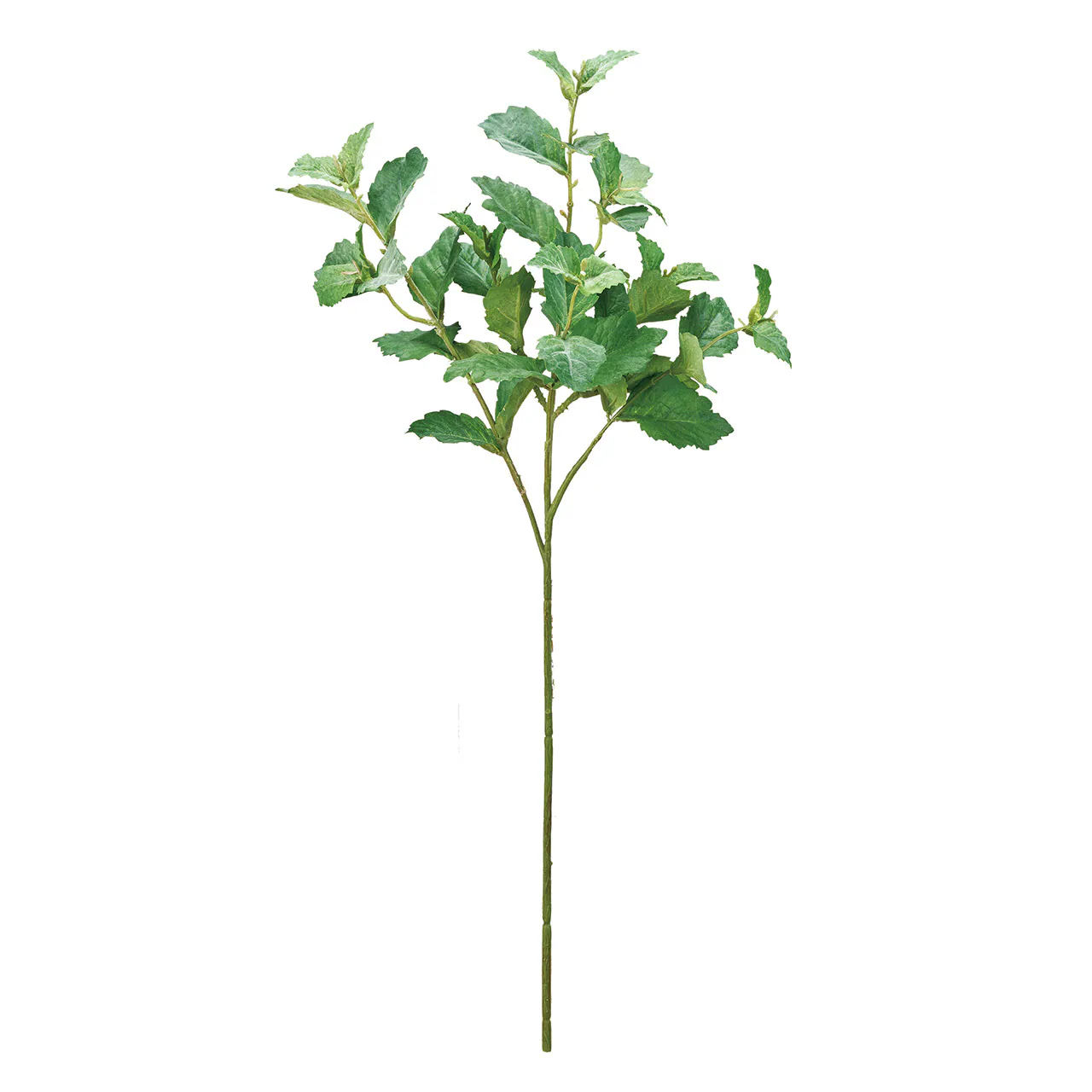 FG-520-024 野薄荷 綠