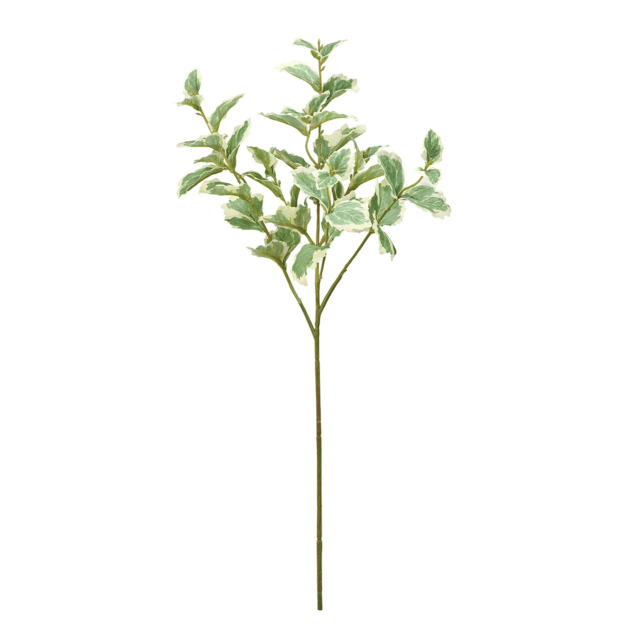 FG-520-022 野薄荷 奶油綠