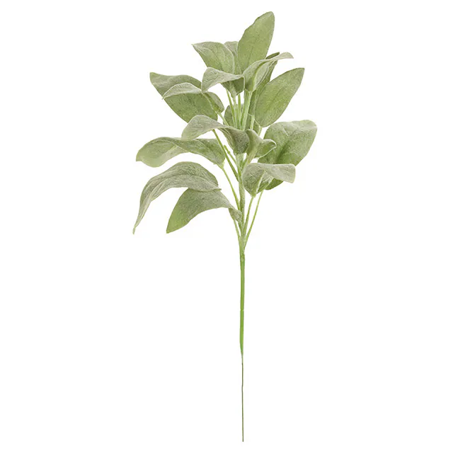FG-1824-023 鼠尾草葉 淺綠