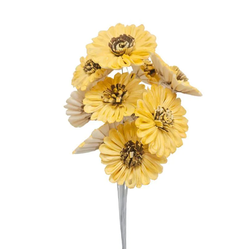 L-4346-511 索拉太陽花花插 朝霧黃