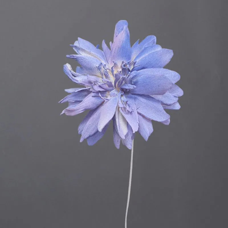 L-4334-636 索拉羽葉太陽花花插(噴漆) 藍霧紫