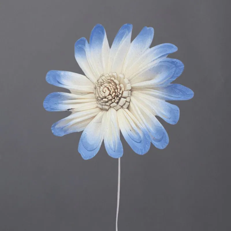 L-4245-615 索拉野花太陽花花插-綜合尺寸(噴漆) 晴空藍漸層