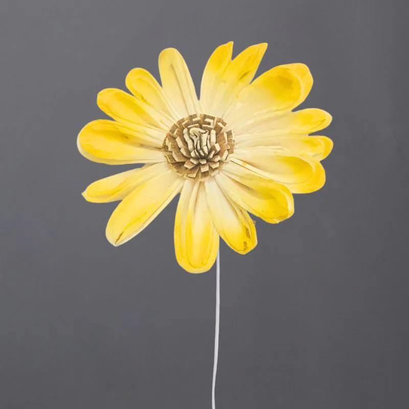 L-4245-535 索拉野花太陽花花插-綜合尺寸(噴漆) 檸檬黃漸層