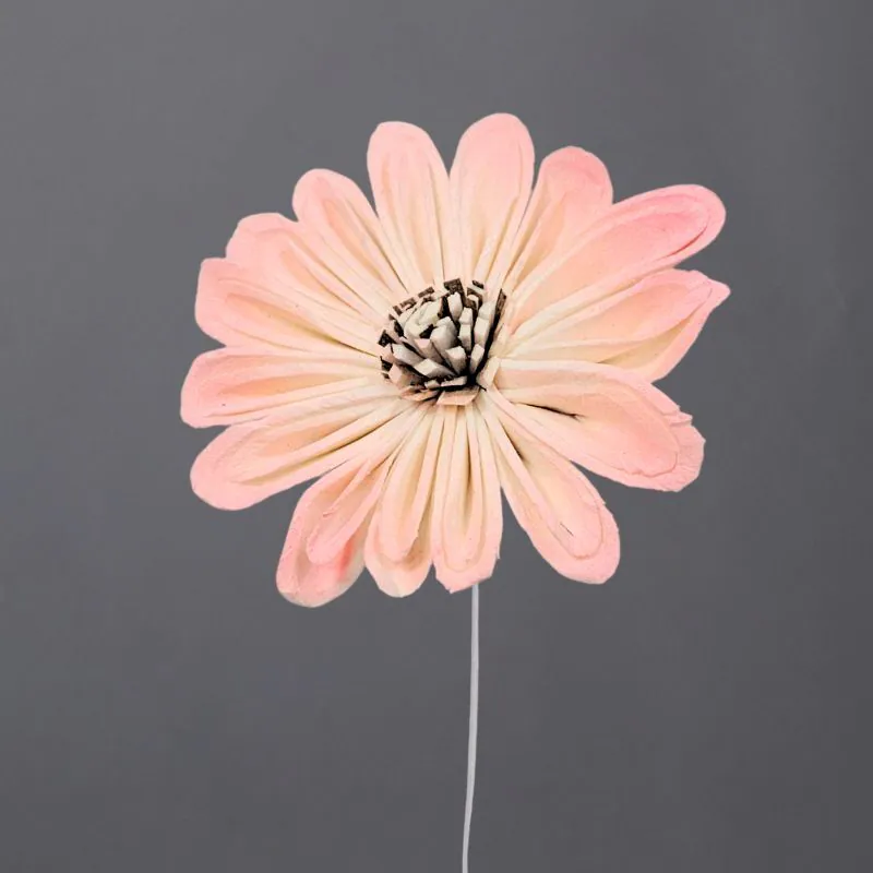 L-4245-105 索拉野花太陽花花插-綜合尺寸(噴漆) 櫻花粉漸層