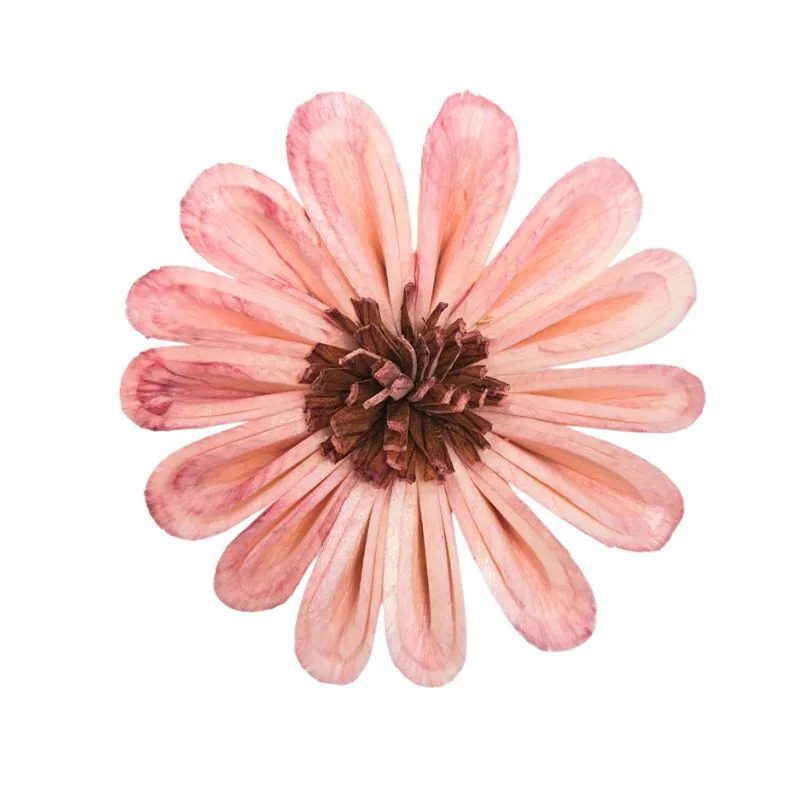 L-4106-847 索拉太陽花 伯爵茶