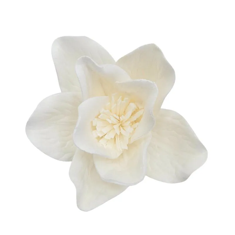 L-3988-010 索拉孤挺花花插(5入) 白