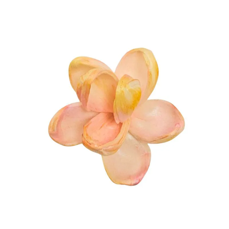 L-3935-336 索拉茉莉(頂級漸層) 蜜桃薔薇