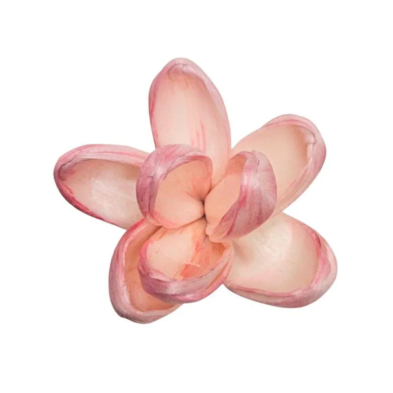 L-3924-847 索拉茉莉 伯爵茶
