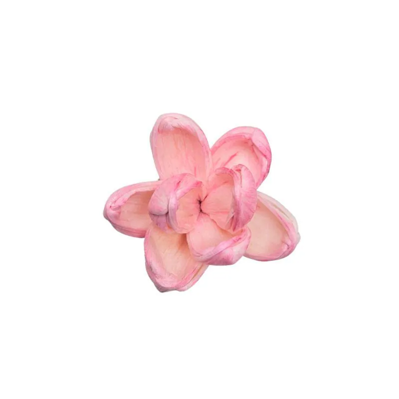 L-3924-221 索拉茉莉 莓果粉