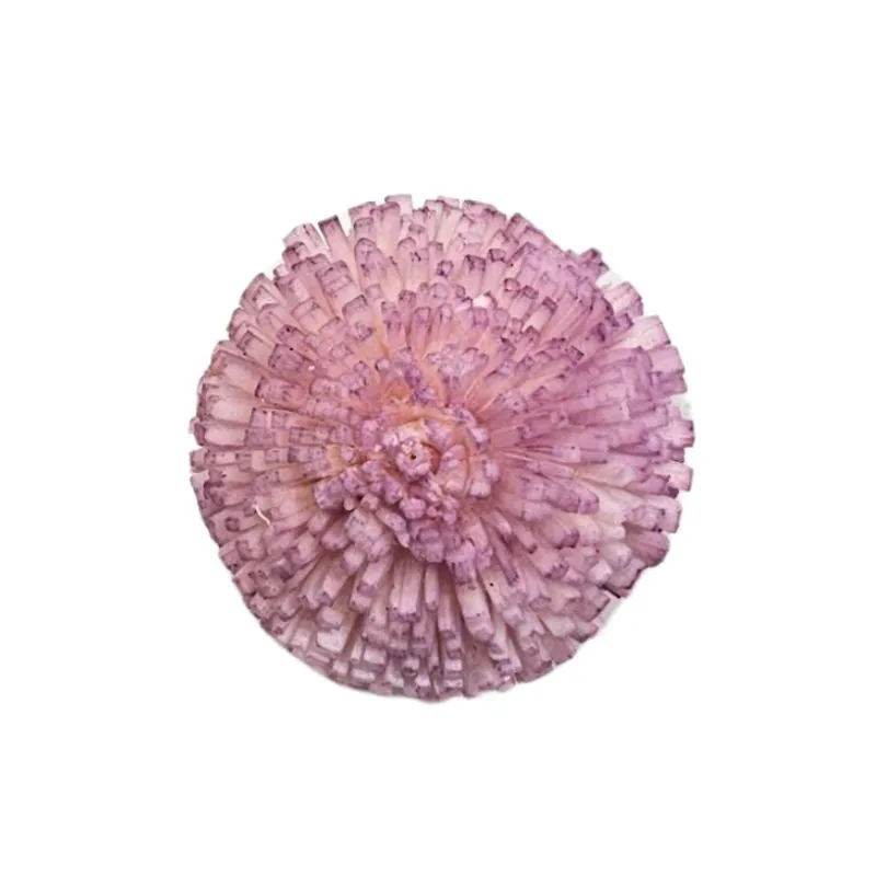 L-3814-174 索拉乒乓菊-小 煙霧粉