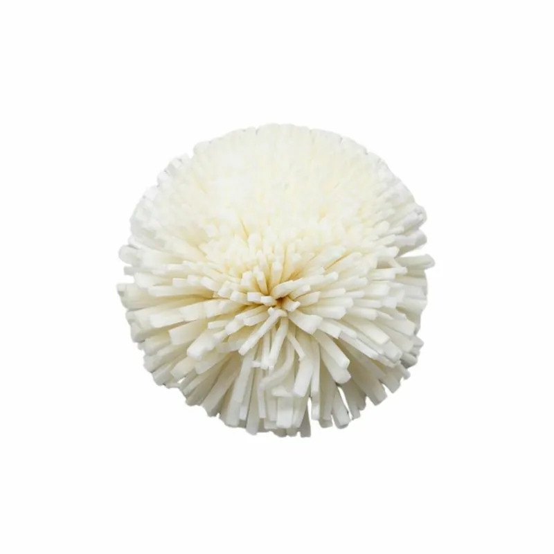 L-3814-010 索拉乒乓菊-小 白