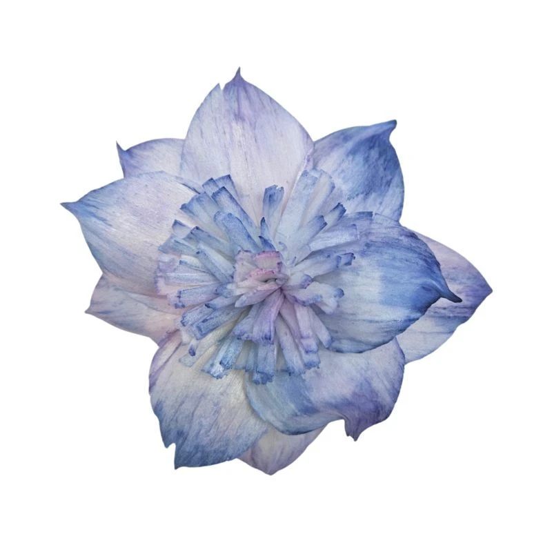 L-3517-636 索拉扶桑花(頂級漸層) 藍霧紫