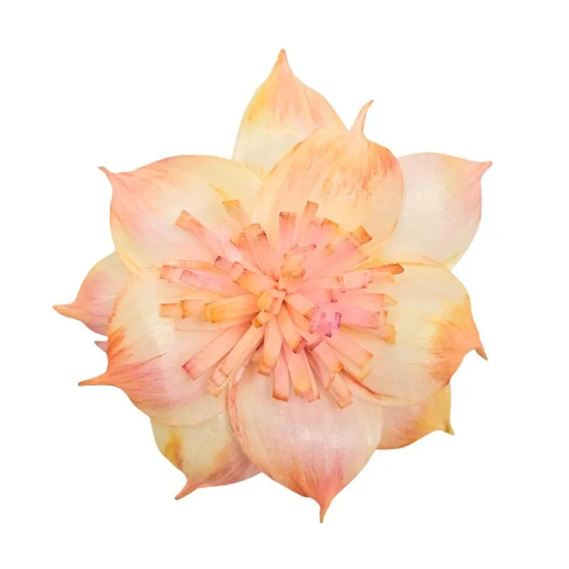 L-3517-336 索拉扶桑花(頂級漸層) 蜜桃薔薇