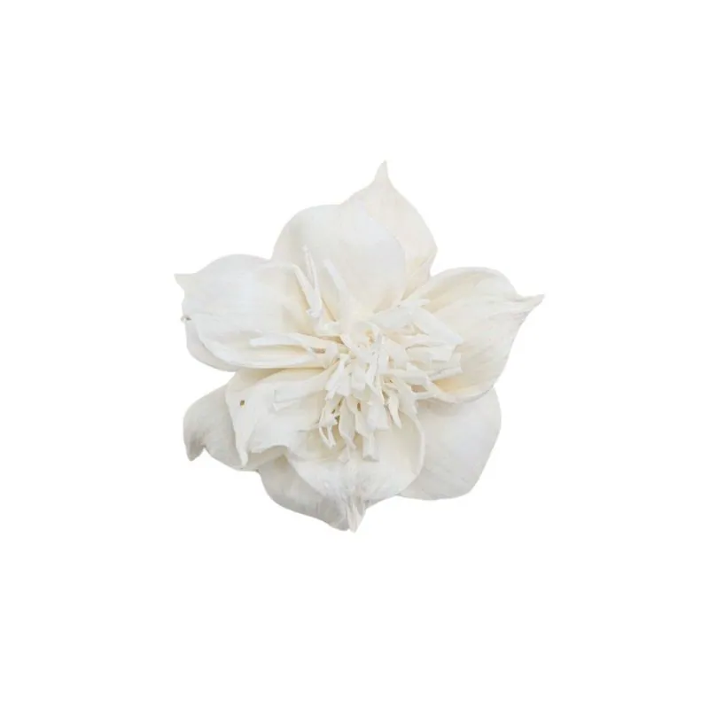 L-3504-010 索拉扶桑花-小 白