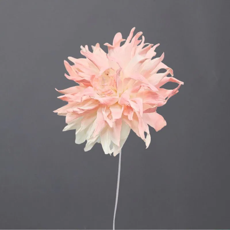 L-3496-101 索拉大理花花插(噴漆) 櫻花粉