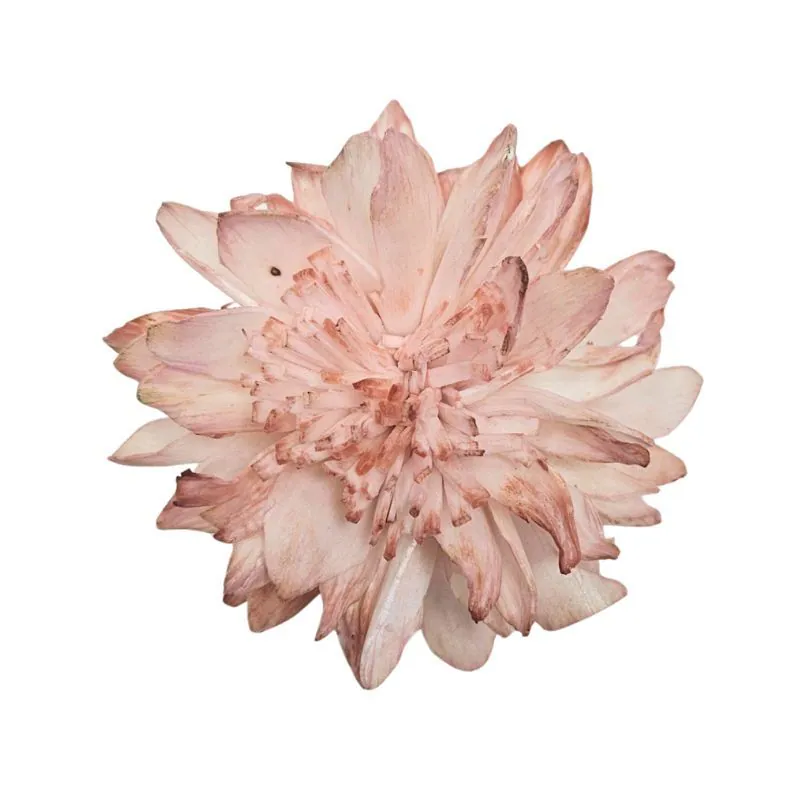 L-3468-847 索拉重瓣大理花 伯爵茶