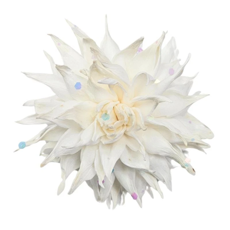 L-3406-018 索拉大理花 銀河白