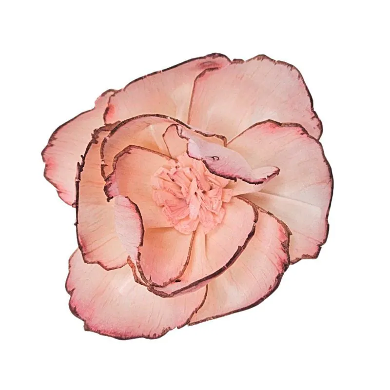 L-3286-847 索拉鑲邊牡丹 伯爵茶