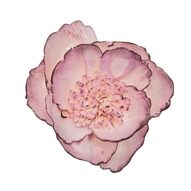 L-3286-174 索拉鑲邊牡丹 煙霧粉