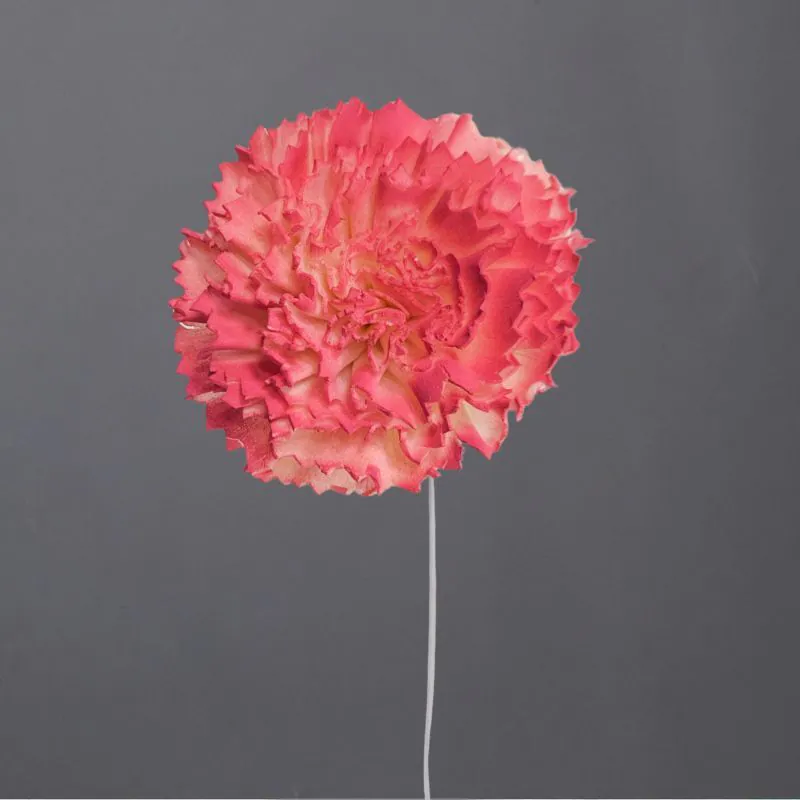 L-3196-134 索拉康乃馨花插(噴漆) 薔薇粉