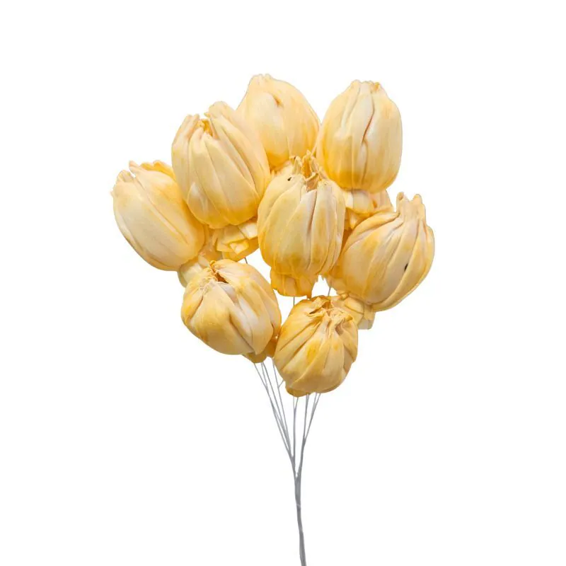 L-3086-372 索拉鬱金香花插 奶油橙
