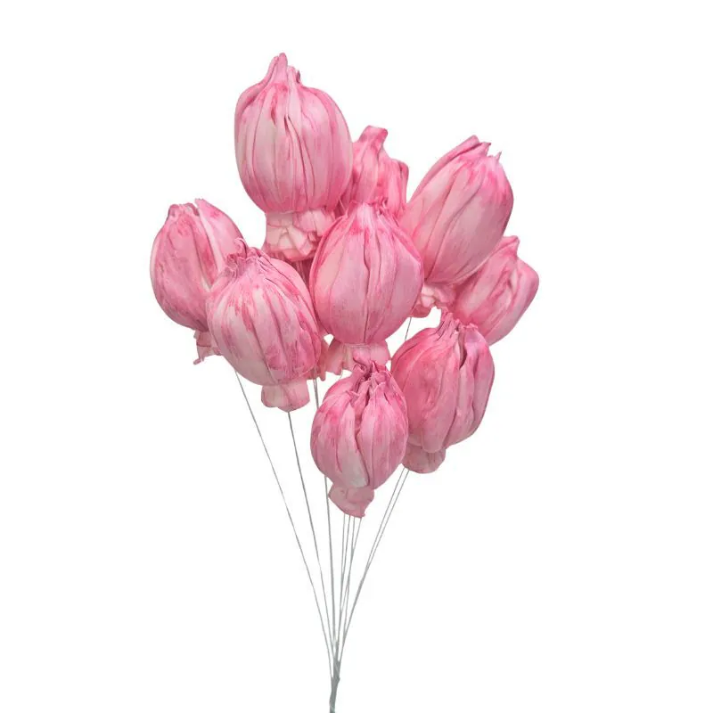 L-3086-221 索拉鬱金香花插 莓果粉