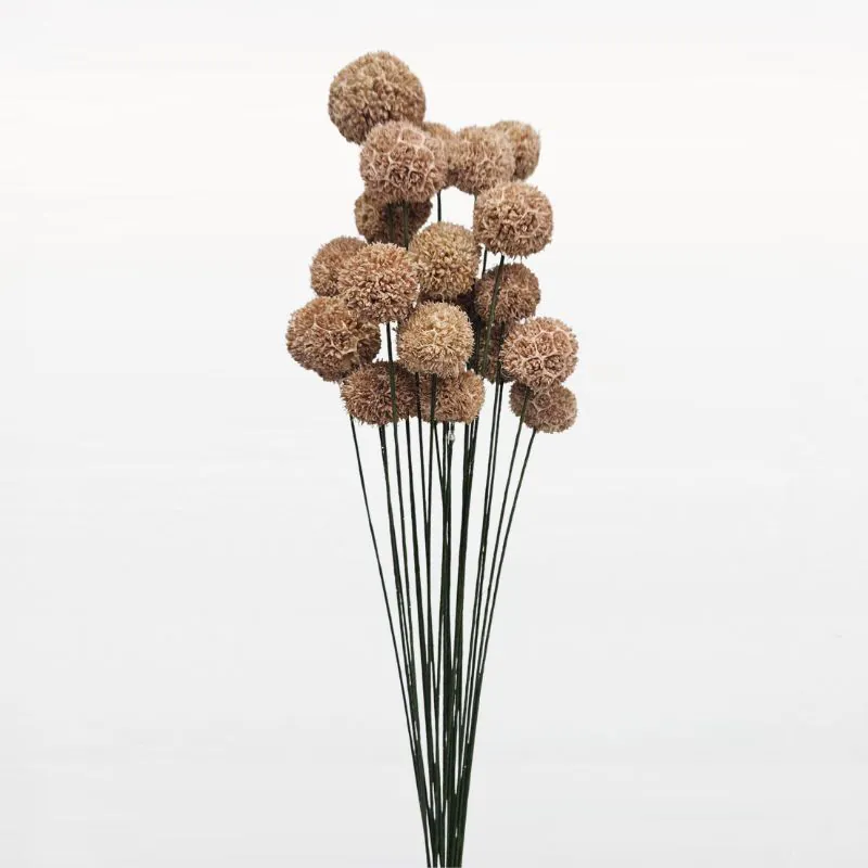 L-2001-884 楓香果實花插(中國產) 咖啡歐蕾