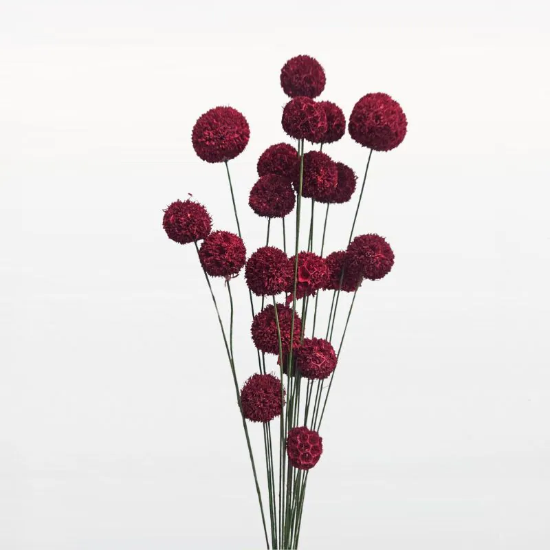 L-2001-471 楓香果實花插(中國產) 酒紅