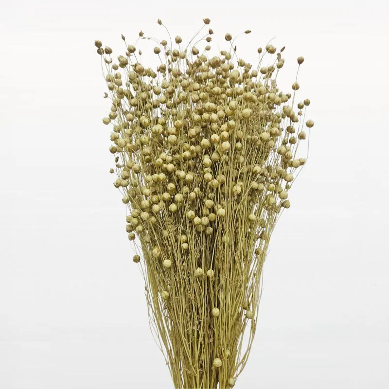 L-1202-068 臨花(中國產) 豆奶